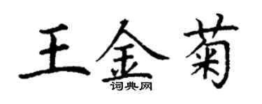 丁謙王金菊楷書個性簽名怎么寫