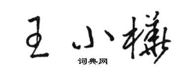 駱恆光王小樺草書個性簽名怎么寫