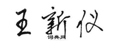 駱恆光王新儀行書個性簽名怎么寫