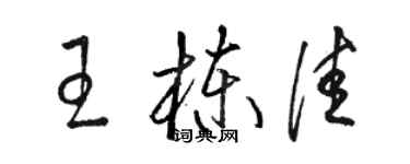 駱恆光王棟佳草書個性簽名怎么寫