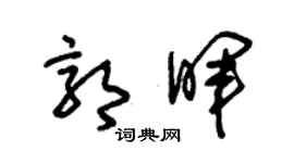 朱錫榮郭暉草書個性簽名怎么寫