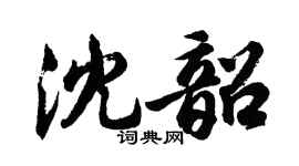 胡問遂沈韶行書個性簽名怎么寫