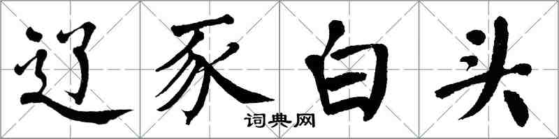 翁闓運遼豕白頭楷書怎么寫