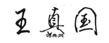 駱恆光王真國行書個性簽名怎么寫