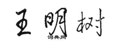 駱恆光王明樹行書個性簽名怎么寫