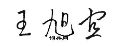 駱恆光王旭宜草書個性簽名怎么寫