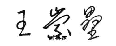 駱恆光王崇壘草書個性簽名怎么寫