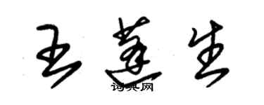 朱錫榮王蓬生草書個性簽名怎么寫