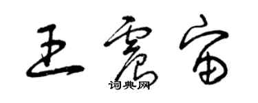 曾慶福王震宙草書個性簽名怎么寫