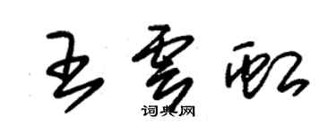 朱錫榮王雲虹草書個性簽名怎么寫