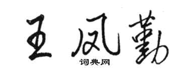 駱恆光王鳳勤行書個性簽名怎么寫