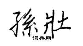 王正良孫壯行書個性簽名怎么寫