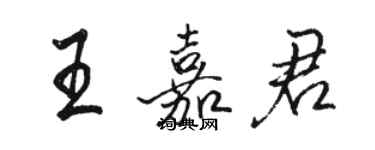 駱恆光王嘉君行書個性簽名怎么寫