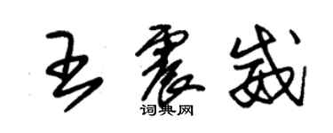 朱錫榮王震威草書個性簽名怎么寫