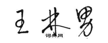 駱恆光王林男草書個性簽名怎么寫