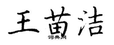丁謙王苗潔楷書個性簽名怎么寫