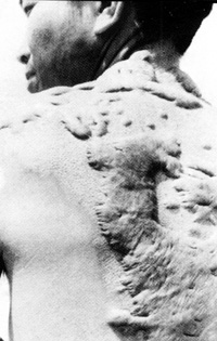 1945年8月6日美國在日本廣島投擲了一顆核子彈。_歷史上的今天