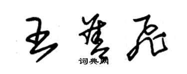 朱錫榮王善飛草書個性簽名怎么寫