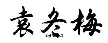胡問遂袁冬梅行書個性簽名怎么寫