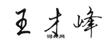 駱恆光王才峰行書個性簽名怎么寫