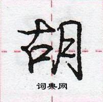 龐中華寫的硬筆行書胡