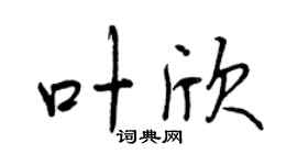 曾慶福葉欣行書個性簽名怎么寫