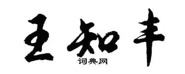 胡問遂王知豐行書個性簽名怎么寫