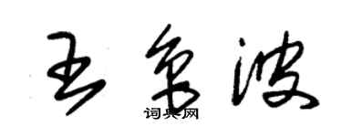 朱錫榮王魯波草書個性簽名怎么寫