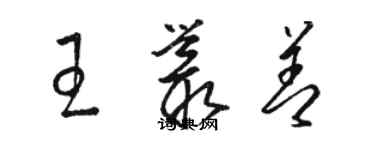 駱恆光王叢善草書個性簽名怎么寫