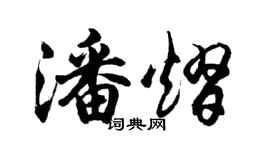 胡問遂潘熠行書個性簽名怎么寫