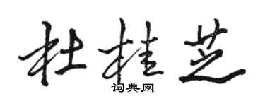 駱恆光杜桂芝行書個性簽名怎么寫
