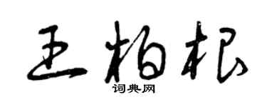 曾慶福王柏根草書個性簽名怎么寫