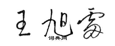 駱恆光王旭雷草書個性簽名怎么寫
