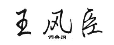 駱恆光王風臣行書個性簽名怎么寫