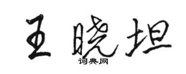 駱恆光王曉坦行書個性簽名怎么寫