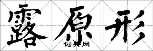 翁闓運露原形楷書怎么寫