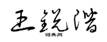 曾慶福王銳潛草書個性簽名怎么寫