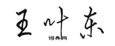 駱恆光王葉東行書個性簽名怎么寫