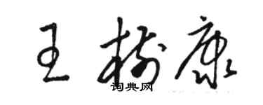 駱恆光王樹康草書個性簽名怎么寫