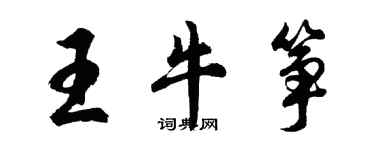 胡問遂王牛箏行書個性簽名怎么寫