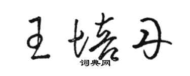 駱恆光王培丹草書個性簽名怎么寫