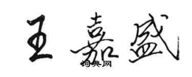 駱恆光王嘉盛行書個性簽名怎么寫