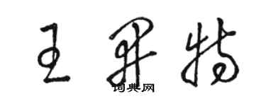 駱恆光王開特草書個性簽名怎么寫