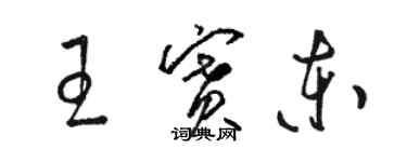 駱恆光王賽東草書個性簽名怎么寫