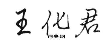 駱恆光王化君行書個性簽名怎么寫