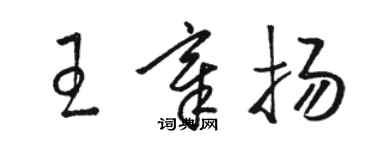 駱恆光王章揚草書個性簽名怎么寫