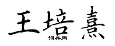 丁謙王培熹楷書個性簽名怎么寫