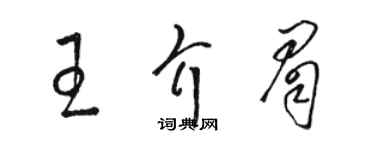 駱恆光王介眉草書個性簽名怎么寫