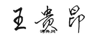 駱恆光王貴昂行書個性簽名怎么寫