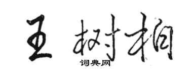 駱恆光王樹柏行書個性簽名怎么寫